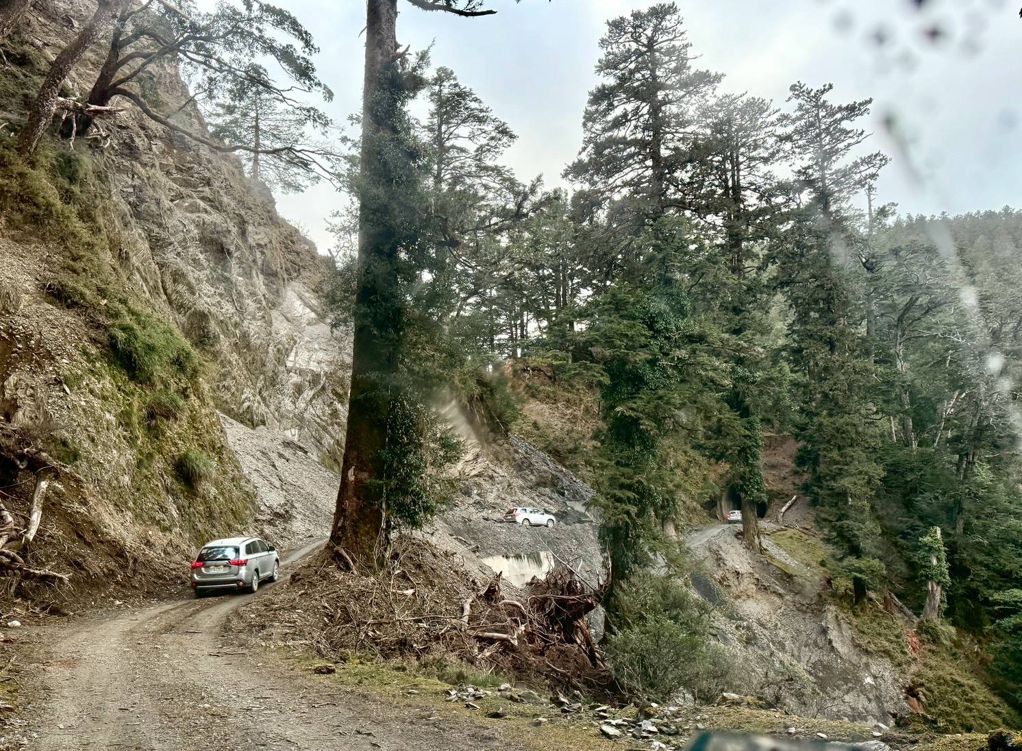 圖說：新東西線的施工與維護，須仰賴丹大林道及孫海橋等既設道路，台電與林保署合作，成功整合道路與電網維護工作。